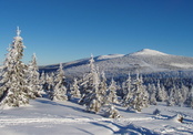 Giant Mountains