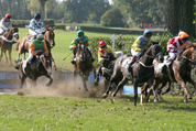 Velká pardubická steeplechase