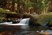 Šumava National Parc