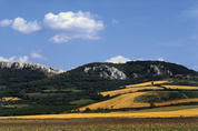 Pálava