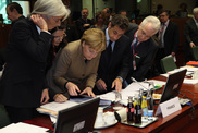 Evropská rada