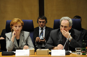 Mariana Durlesteanu, P. Le Houérou