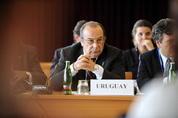 Gonzalo Fernandez 