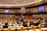 M.Topolánek v Bruselu